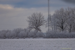 IMGL0116